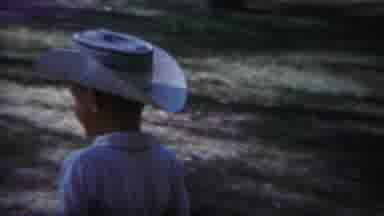 Yellowstone Wyoming (1967): A Green Park With Trees And Beautiful Nature Children