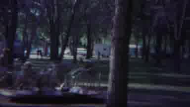 Yellowstone Wyoming (1967): The Children Go Round And Round And Fun Times Arise