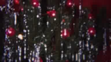 Westville New Jersey (1951): Child Watches In Amazement At The Christmas Tree And