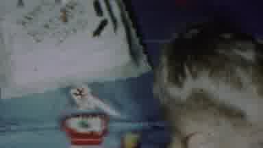 Paramus New Jersey (1959): A Great To See Birthday Celebrations Going On And The