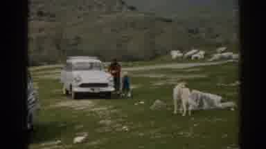 Ephesus Turkey (1962): Grass Dog Woman Child Car Cloth Walking Rock Headlights