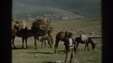 Ephesus Turkey (1962): Watching Camels In The Desert