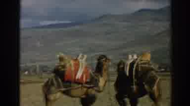 Ephesus Turkey (1962): The Strange Man Looking For Anything Else Except Stranger