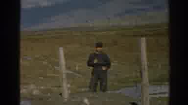 Ephesus Turkey (1962): A Man Watches To Pack Camels Interact In The Distance