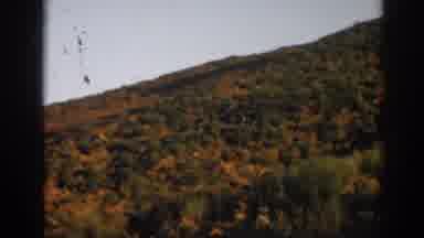 Ephesus Turkey (1962): Hillside Trees Grass Landscape Ocean Water Daytime Outdoors