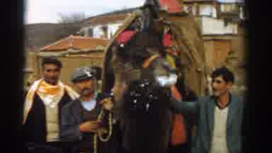 Izmir Turkey (1962): Asian Men Hold The Harness Of A Camel Slobbering As It Chews