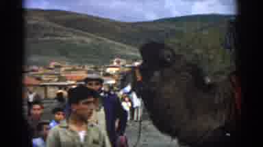 Izmir Turkey (1962): Some People Touching The Camels In Crowd Area
