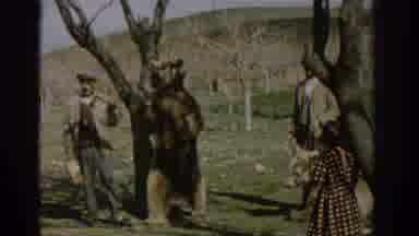 Izmir Turkey (1962): Meet The Friendly Bear That Waves To The Music