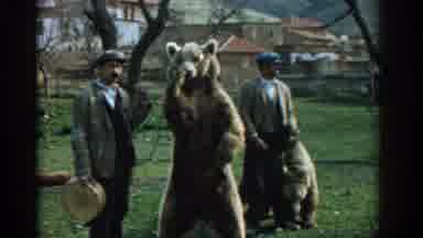 Izmir Turkey (1962): Men Wearing Blue Hats Stand With Two Brown Bears On A Clear