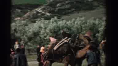 Izmir Turkey (1962): An Open Park With Many People Watching Two Camels Pushing