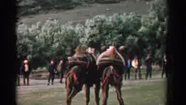 Izmir Turkey (1962): Two Horses Engage Unhappily With Packs On Their Backs