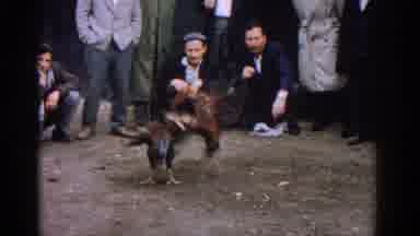 Izmir Turkey (1962): Two Guys Near Other People Looking For A Cockfight Smoking