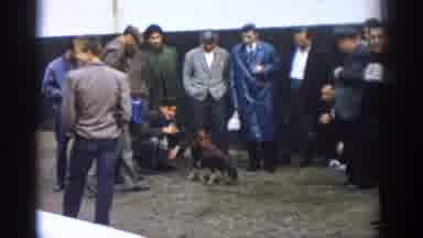 Izmir Turkey (1962): A Group Of Working Class Men Watching A Cock Fight