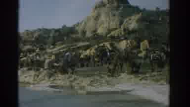 Izmir Turkey (1962): People Making Circle Around Unknown Animal While Brave