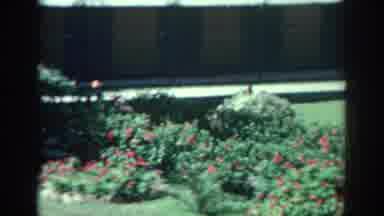 RHODES GREECE-1962: Camera Captures The Lovely Garden And Flowers Blooming In