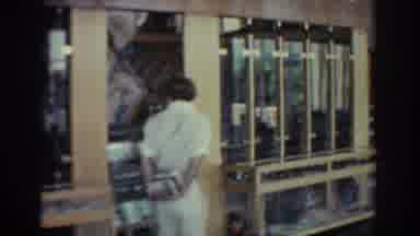 Rhodes Greece (1962): Person Wearing White Shirt Walks Past Gold Colored Display