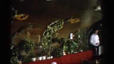 Munich Germany (1963): Waiter At Ski Cabin Resort
