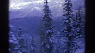 Munich Germany (1963): Old Film Showing Snow Covered Pines With Snowy Mountains In