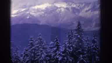 Munich Germany (1963): Snow Covered Mountains And Trees With Small Buildings