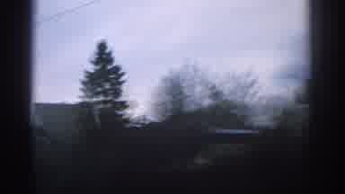 Zurich Swizterland (1963): Passing View Of Green Trees And Small Houses On A