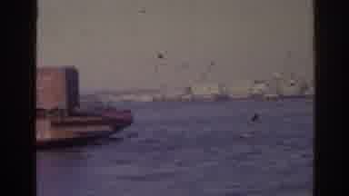 Florida USA (1962): Panning Along The Water With Boats In The Background Docked In