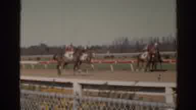 Florida USA (1962): Jockeys Trot Race Horses Along A Dirt Race Track Enclosed With
