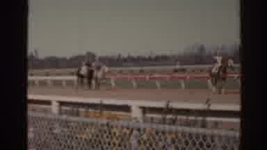 Florida USA (1962): View Of Horses Walking Around Racetrack On A Sunny Day