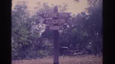 Florida USA (1962): The Sign Says Nature Trail Alligators And Rabbits Then Points