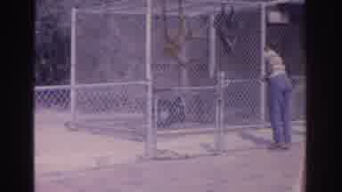 Florida USA (1962): People Gathered Observing An Exhibit At A Zoo While Others