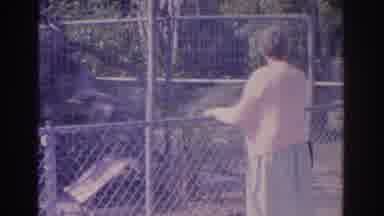 Florida USA (1962): Woman Wearing Pink Sweater Stands Next To Chain Link Fence On
