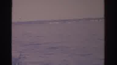 Florida USA (1962): A Lake Being Used By Some Water Jets People Close To A