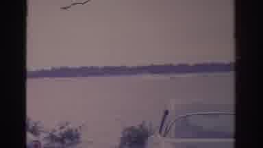 Florida USA (1962): A Small House Nicely Located Near A Large Body Of Water