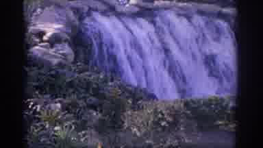 Florida USA (1962): Filming Lady Standing By A Beautiful Waterfall On The Street