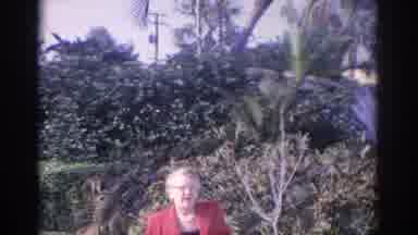 Florida USA (1962): Elderly Lady Enjoys The Scenery While Waiting For Her Ride In