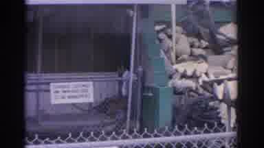 Florida USA (1962): A Small Shop With A Beautiful Giant Clam shell Collection Set