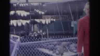 Florida USA (1962): Old Lady At Zoo Scared Of Crocodiles