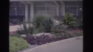 Florida USA (1962): The Best House And Garden Ever Made For Your Dreams