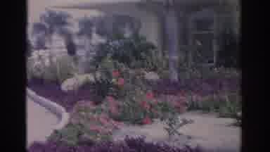 Florida USA (1962): Garden In Front Of An Establishment One Sunny Day With A Door