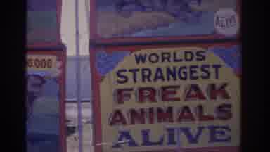 Florida USA (1962): Cyrus Sign World's Strangest Freak Animals Alive