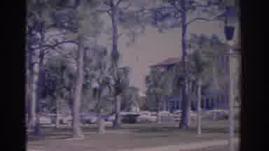 Florida USA (1962): Vintage Video Featuring Random Cars Trees Greenery Buildings