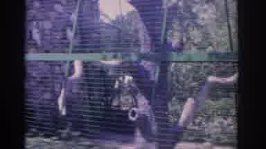 Florida USA (1962): People At The Crossroad Signs At A Zoo In Front Of The Animal