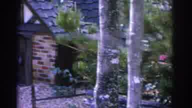 Florida USA (1962): Scenes Of A Place Full Of Flowers On A Beautiful Day