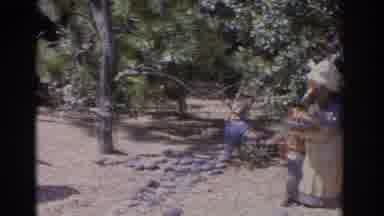 Florida USA (1962): Summer Woodland Panorama With Carved Wooden Bear Statue And
