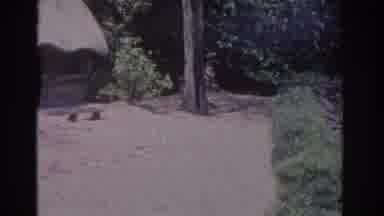 Florida USA (1962): People Walking Along Side Of Road Next To Hut