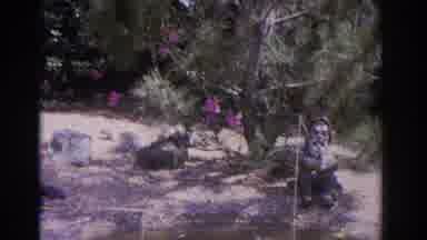 Florida USA (1962): Grandma Watches A Collection Of Art crafts Outside A Building