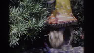 Florida USA (1962): Person Walks Behind Green Trees On A Bright Sunny Day