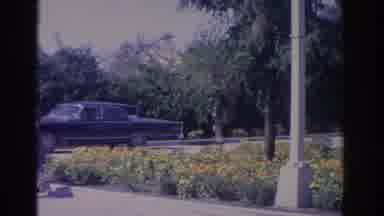 Florida USA (1962): Vintage Cars Street Driving And Flowers