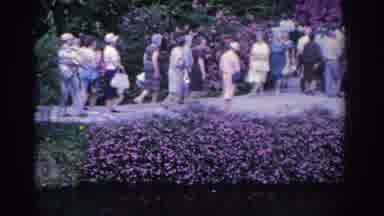 Florida USA (1962): People Walking Alongside Stream Lined With Purple Flowers On A