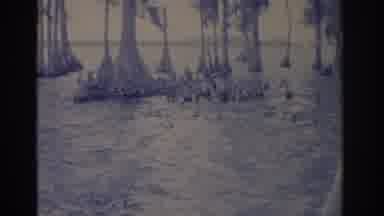 Florida USA (1962): Lady Poses For Photo In The Middle Of A Beautiful View