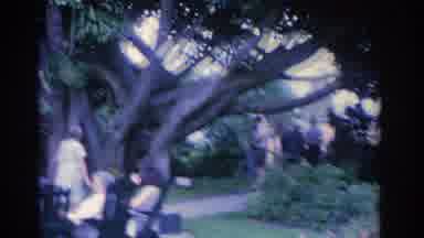 Florida USA (1962): Ladies Meeting In A Wonderful Cactus Garden